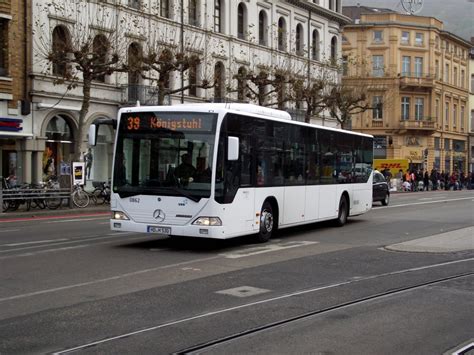 discipulus bus heidelberg.